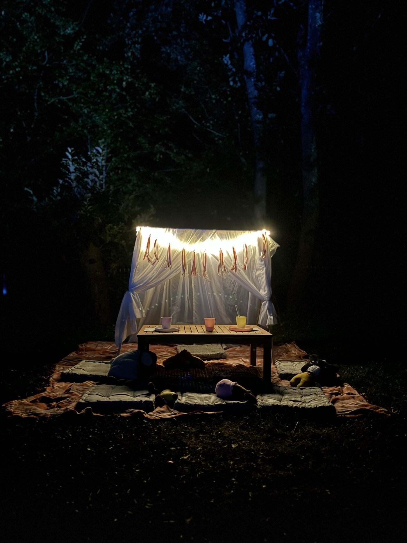 Forest evening at ForestAura